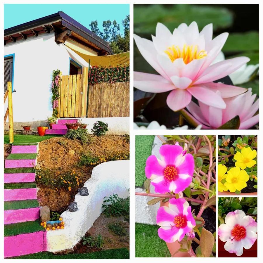 La Conchiglietta Blu Villa Cardedu Dış mekan fotoğraf